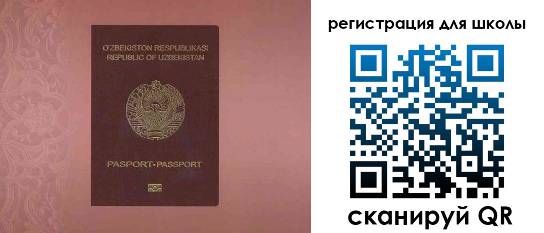 прописка для школы в Шилке